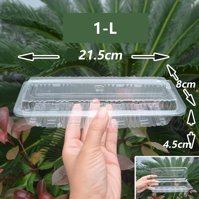 100Pack Disposable Clear Plastic Containers Transparent Box for Dessert Fruit Cake Salad Sandwiches Take Out Box: 1-L