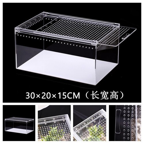 1PCS 4 Size Acrylic Reptile Feeding Box Insect Box Praying Mantis Reptile Home Insect Cage Reptile Terrariums: 30x20x15CM
