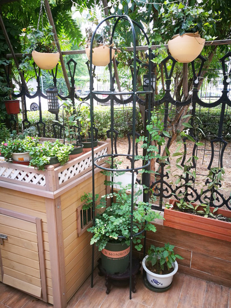 Klim Prieel Chinese Rose Clematis Lotus Buiten Kolom Vorm Europese Stijl Bloem Rack Pot Gedragen Bloem Ondersteuning Frame Indoor