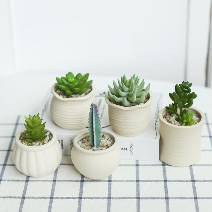 Macetas pequeñas de escritorio para hogar y oficina, maceta redonda gris para plantas, Mini soportes de cerámica para plantas, suculento de Cactus, macetas de flores