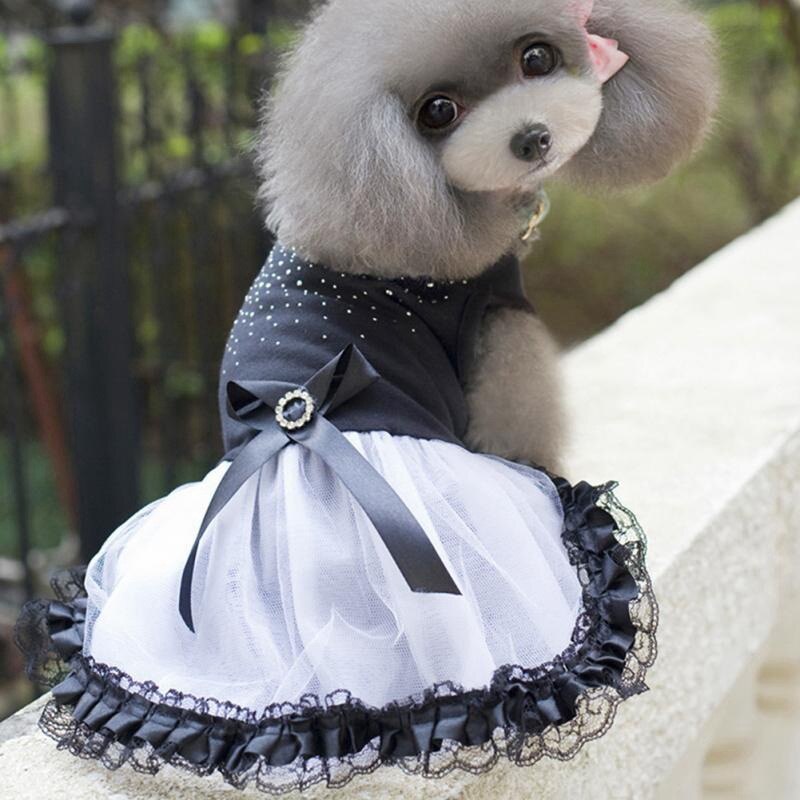 Vestido con tutú para perro, falda de encaje, Gato de princesa, ropa de XS-L, vestido de para suministros para perros mascota, 1 Uds.