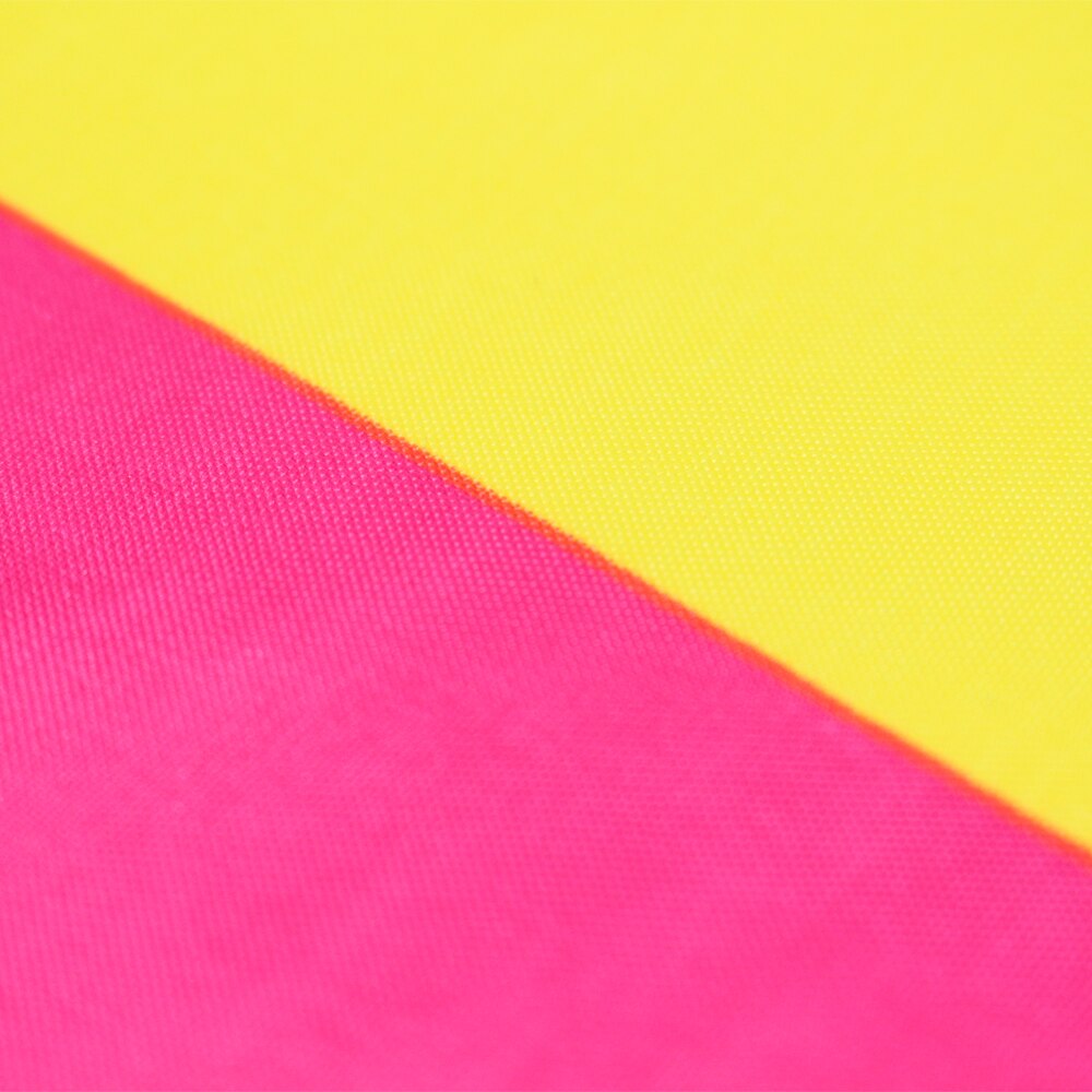 Opknoping 90*150 Cm Omnisexual Lgbt Pride Pansexual Vlag Voor Decoratie
