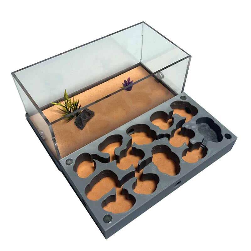3D Afdrukken Platte Ant Farm Met Voeden Gebied Beton Ant Nest Met Drinker Sterk Hydraterende Mier Huis Huisdier Anthill Workshop: D