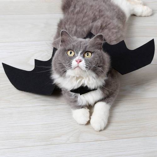 Mode Vleermuis Vleugels Vampire Zwart Leuke Fancy Dress Up Halloween Pet Hond Kat Kostuum