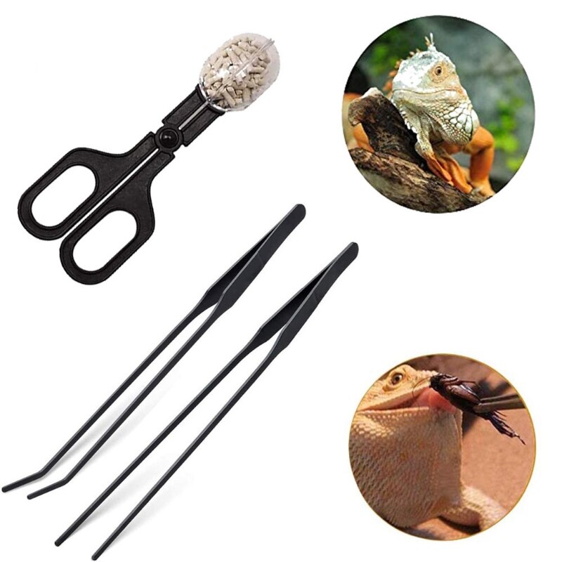 Herramienta de alimentación para reptiles, pinzas de grillo anti-choques con pinzas para acuarios, serpientes, Gecko, 5 piezas