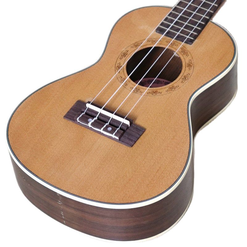 BQLZR 6 String Saddle Thru Acoustic Guitar Bridge Rosewood Strings Hole In Line