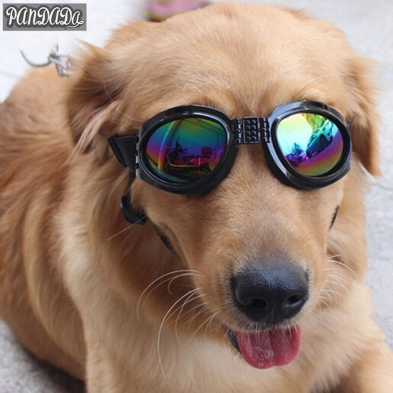 Waren Für Hund Brille Gläser Für Hunde Haustier Sonnenbrille Hund Schutz UV Brillen