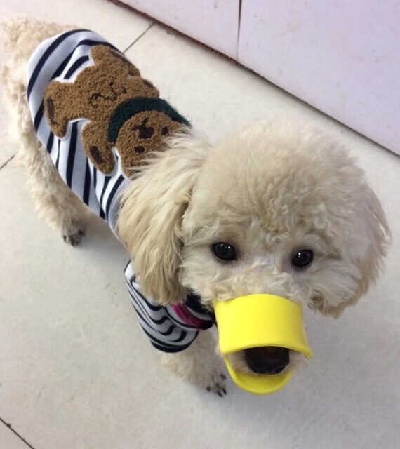 Pet Dog Collar Duckbill Muzzle Breathable Dog Muzzle For Prevent Small Medium Large Dog Bark&Bite Muzzle