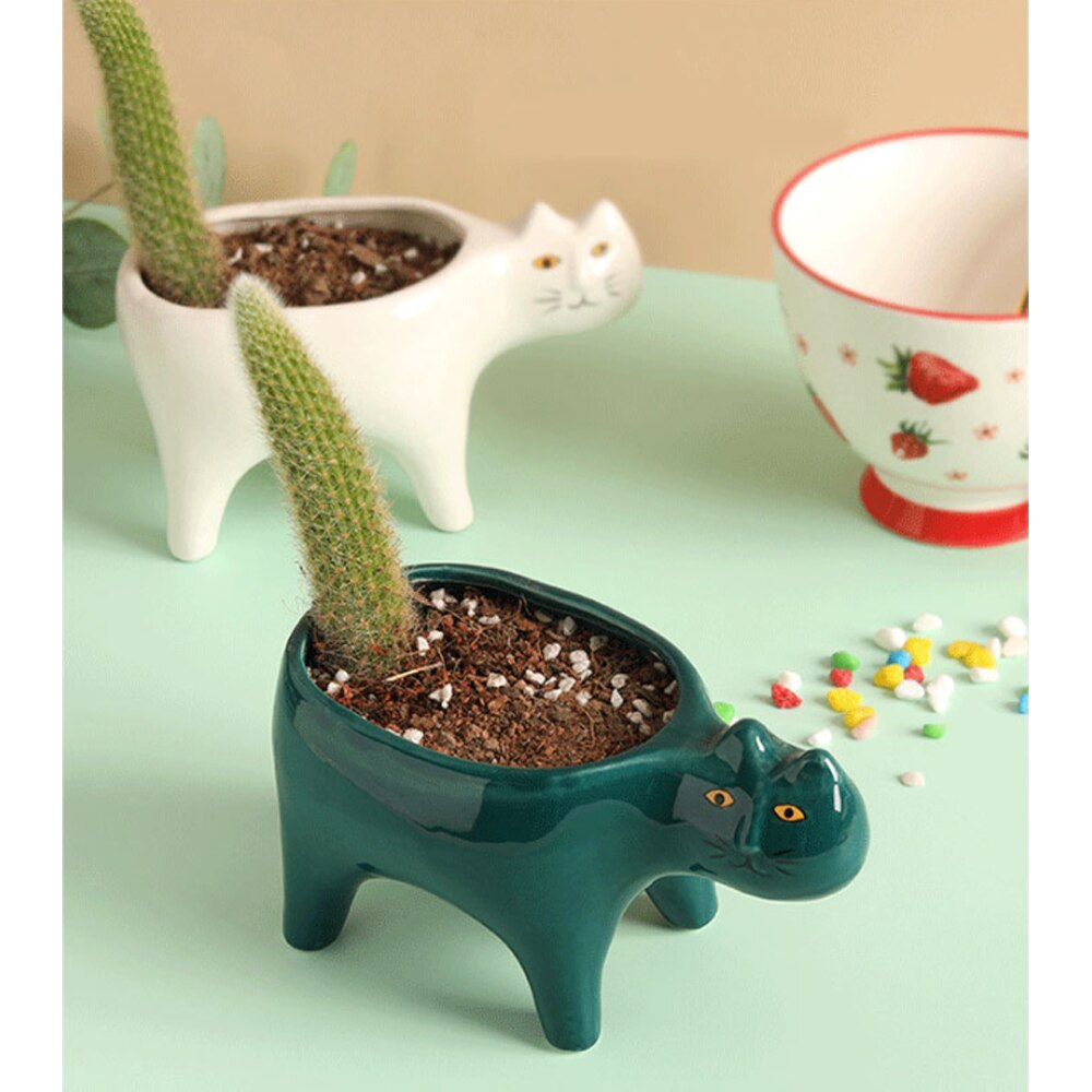 Søt katt keramisk hage blomsterpotte dyr bilde kaktus planter planter sukkulent plante container bordplate ornamenter dekorasjon