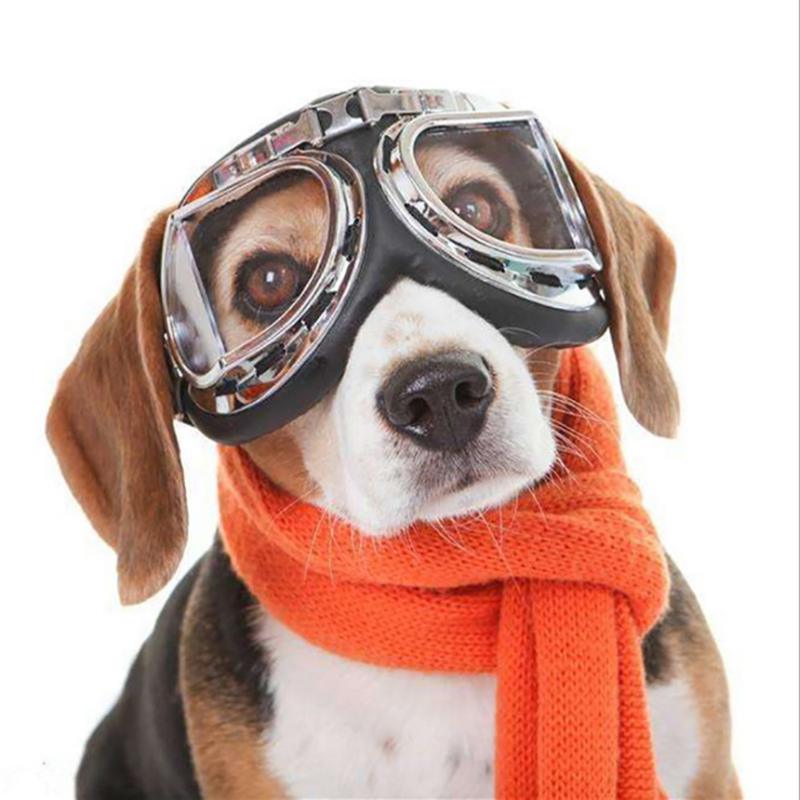 UV400 Bescherming Pet Kat Hond Zonnebril Grote Hond Bril Kat Eyewear Opvouwbare Zon-Slip Bril Gromming Product Foto 'S