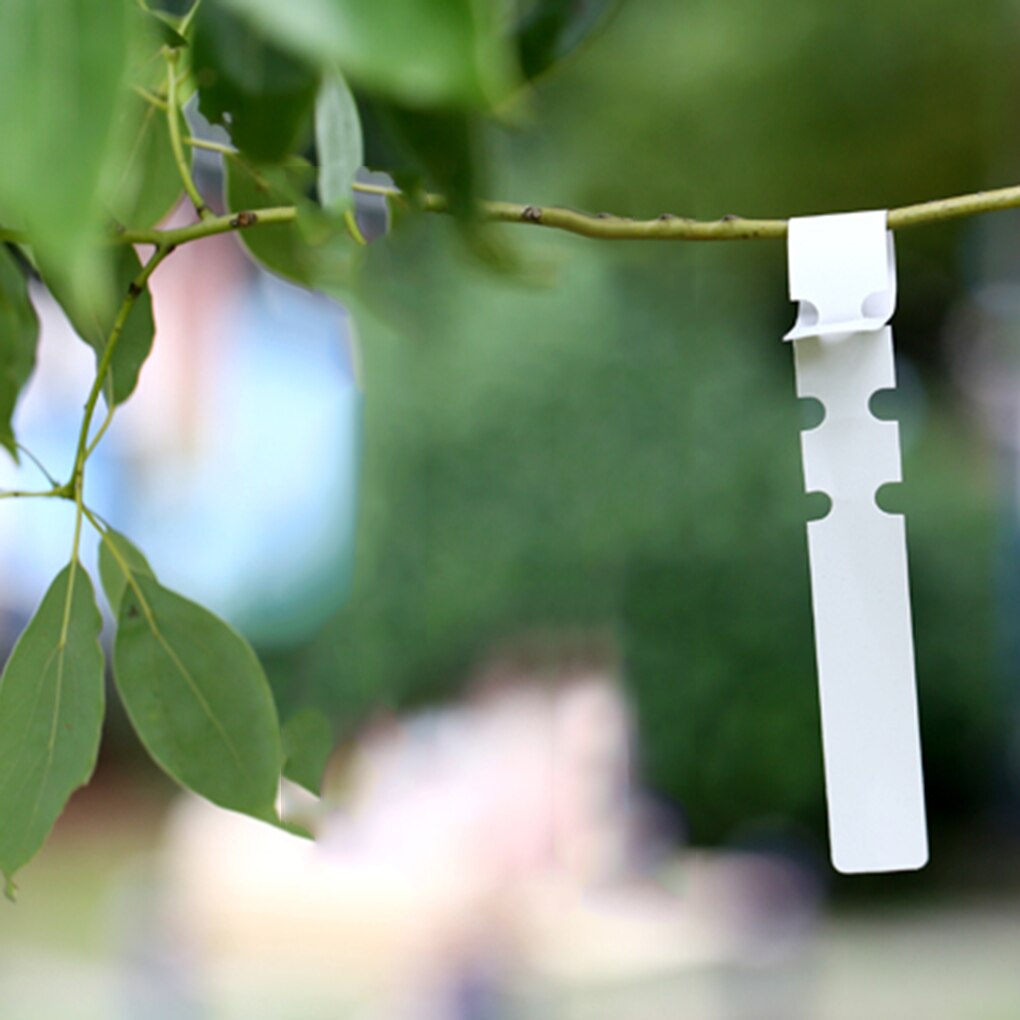 100 stücke Garten Kindergarten Pflanzen Etikett Hängen Obst Baum markieren Sämling Anlage Zeichen PVC Klassifizierung Karte