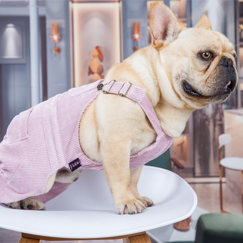 Ropa de perro Bulldog francés, mono de pana para primavera y verano, mono cómodo para perros, ropa para perros: Rosa / L