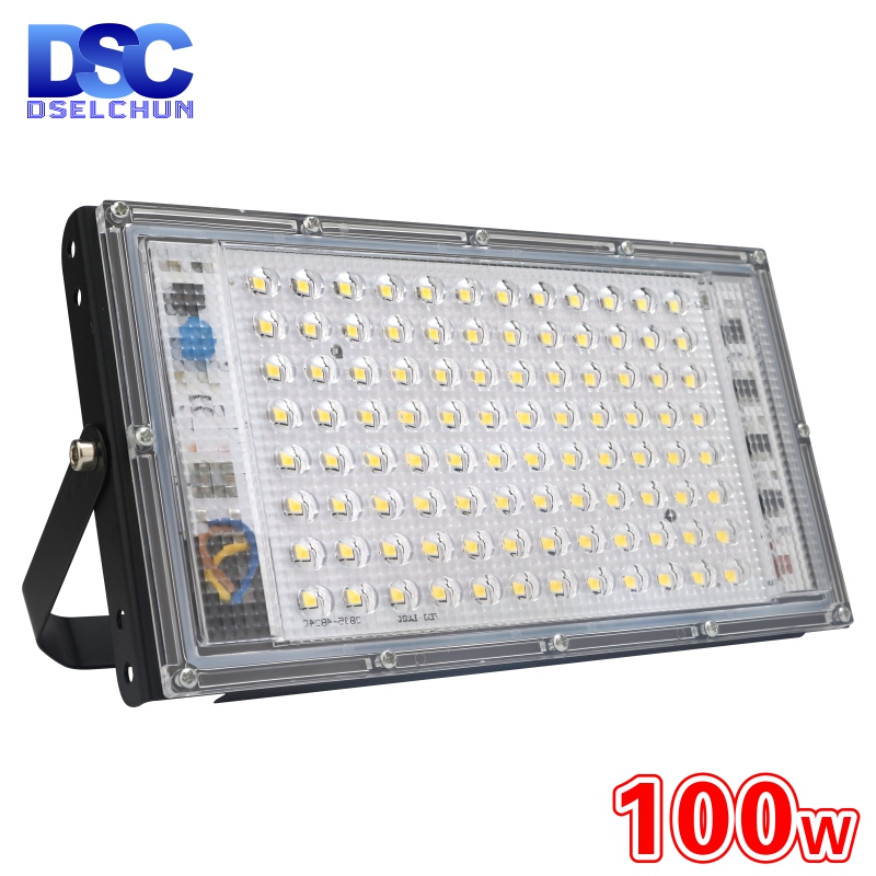 DSELCHUN-foco reflector Led para exteriores 100W, CA 220V 230V 240V, IP65, farola LED impermeable, iluminación de paisaje