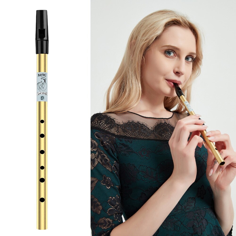 NAOMI 6 Holes Tin Whistle Traditional Irish Penny Whistle Brass Material Musical Instrument for Beginners, Key of D