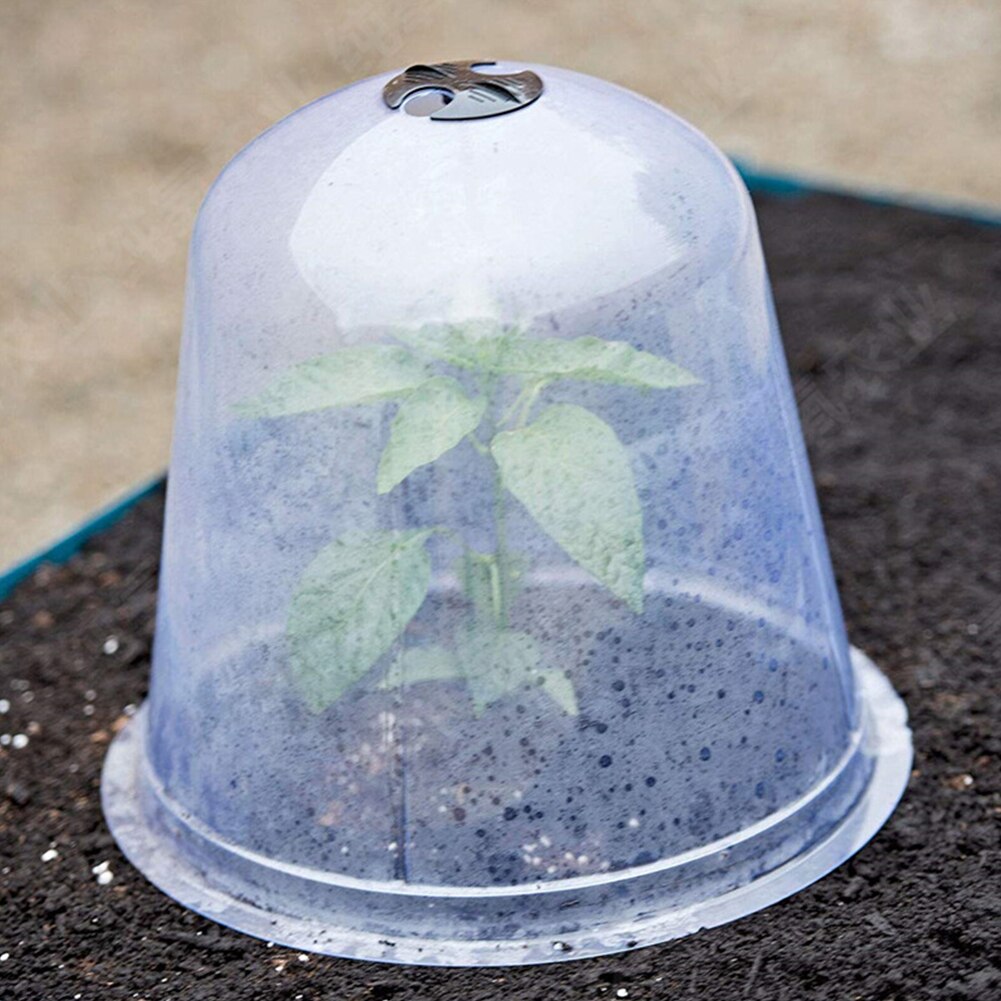 240x plantenhoed, van PVC, plantenbescherming tegen vorst, vogels & slakken, plantenstolp, groen