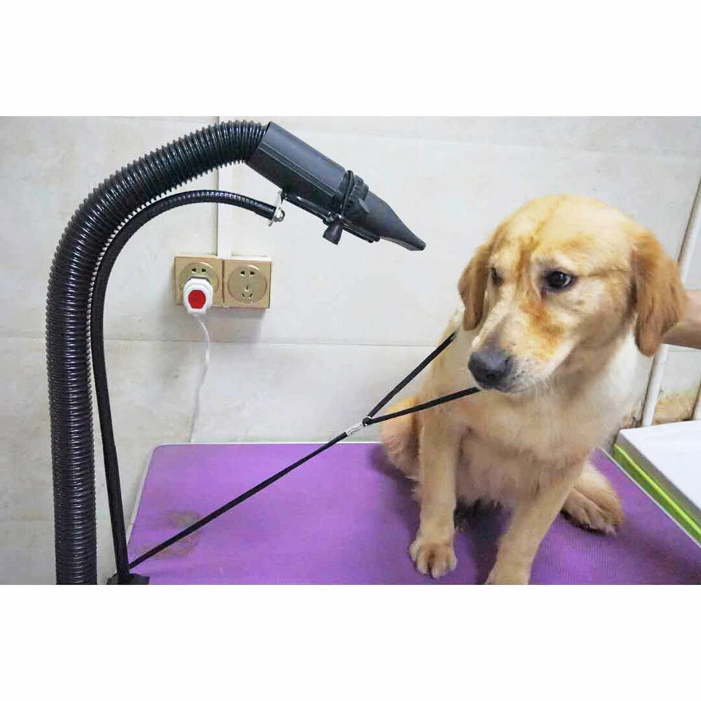 Dog Grooming Shelf Pets Bathing Beauty Hair Dryers Mounting Bracket Clip,Large Size 360 Degree Adjusted Metal Hose Stand