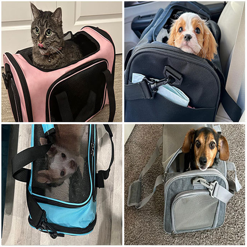 Hund Katze Tragetasche Haustier Welpen Reisetaschen Atmungsaktives Gittergewebe Kleiner Hund Katze Hunde draussen Zeltträger Ausgehende Haustiere Tasche Handtasche