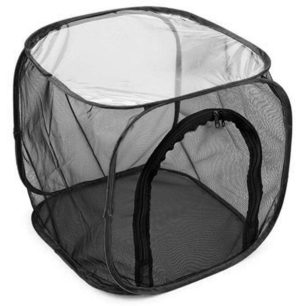 Portable Insect Cage Foldable Butterfly Habitat Cage Housing Enclosure Mesh Cloth Iron Insect Supplies Pet Product