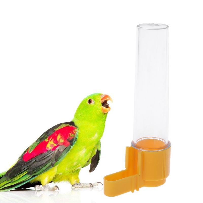 Voer- en drinkbakken | voor Dieren