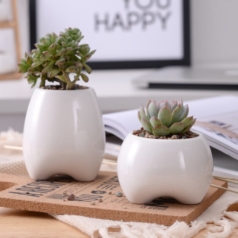 Set Van 2 Tand Vorm Bloempotten Witte Keramische Planter Tanden Mini Desktop Succulente Planter Potten (Zonder Planten)
