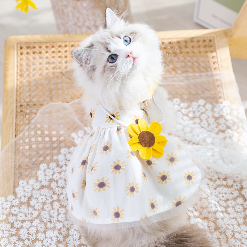 Robe de princesse pour chien, vêtements d'été mignons pour chien, jupe en dentelle pour chat, vêtements pour animaux de compagnie, Chihuahua Bichon, gilet pour chat, chiot, chemise pour filles