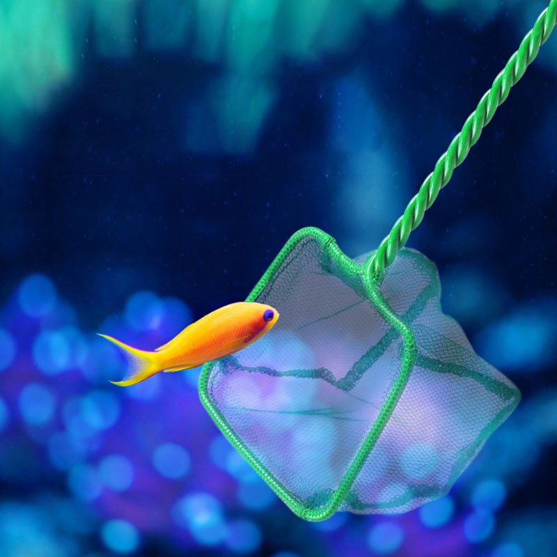 Bærbart fiskenet langt håndtag firkantet akvarietilbehør landingsnet til fisk, flydende genstande, renseværktøj til krabbenet