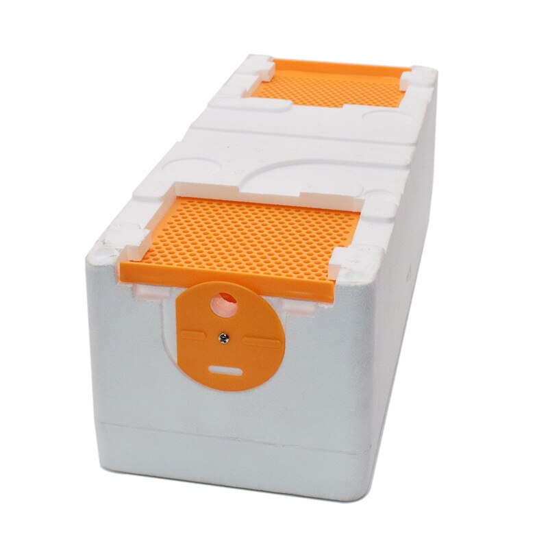 Caja de apicultura, Mini caja de aparejo de colmena de abejas de alta resistencia, de plástico EPS, dos Reinas, vivero, para 500-1000 abejas