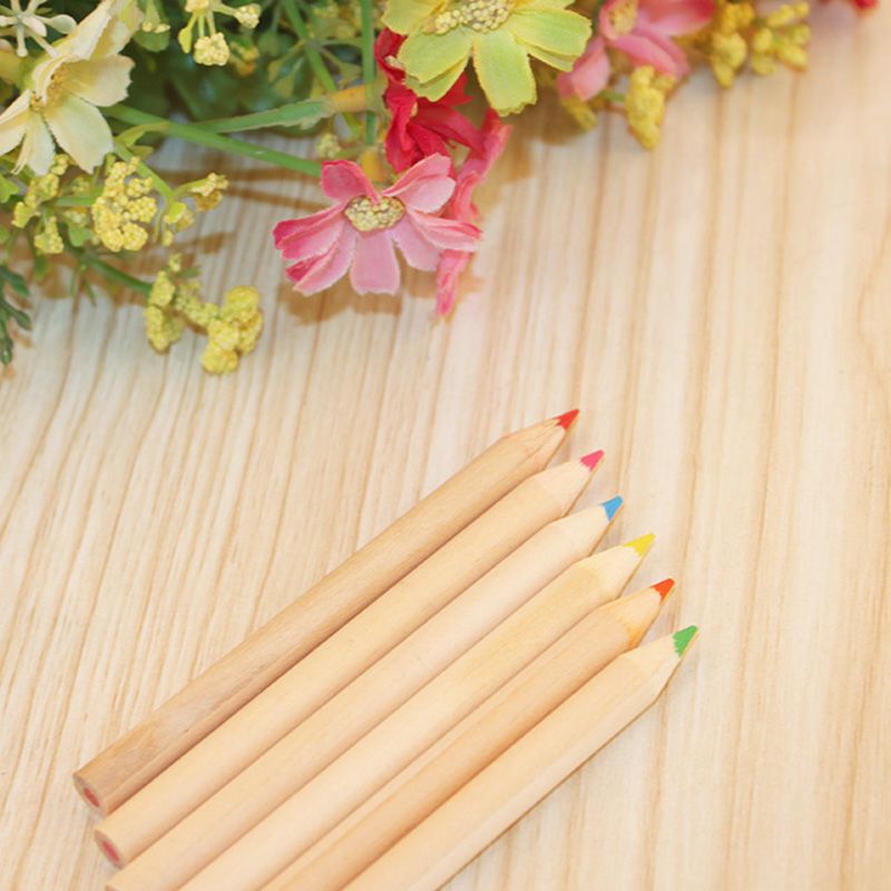 6 Paint Colored Pencils, Pre- Sharpened, HB Core Wooden Colored Pencils with Sharpener Ideal for Drawing Art, Sketching, Shading