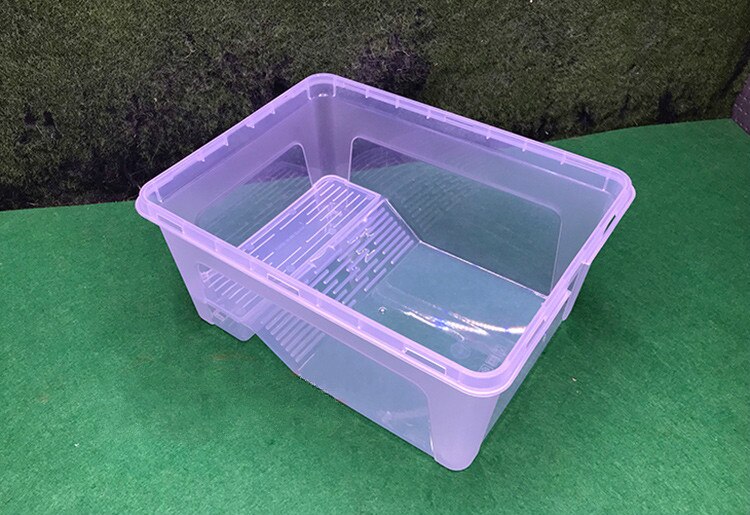 1PCS with drying table turtle tank feeding box transparent plastic large trumpet large Brazilian grass living basin: white / L