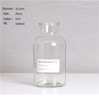 European Decoration Home Glass Vase Flower Vase Flower Arrangement Hydroponic Tabletop Vase for Flower Decoration: Transparent B-1000ML