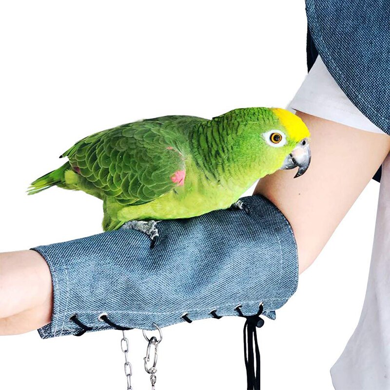 Papegøjer anti-rids skulderbeskyttere hænge fugle fodlænke legetøj multifunktionel kæledyr skulderpude  k888: Blå armbeskyttelse