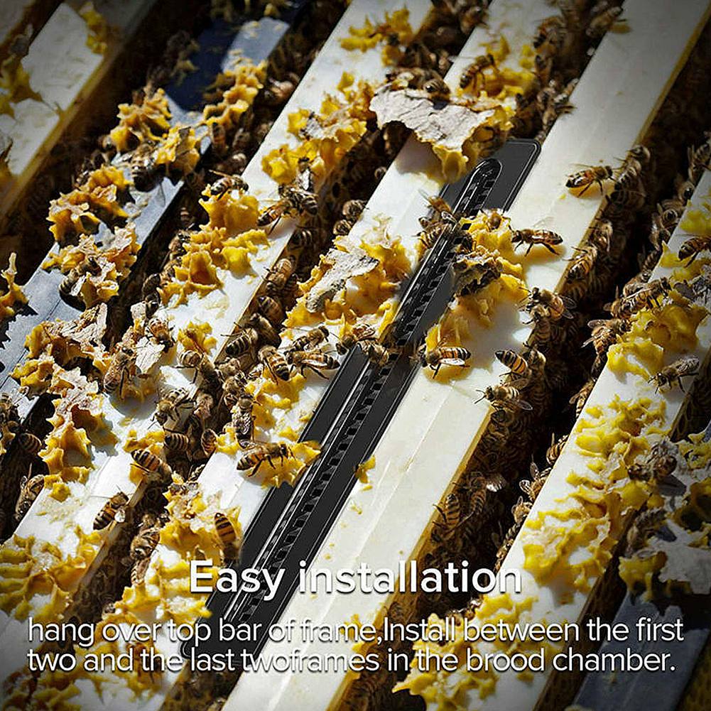 【ready Stocks】10pcs Beekeeping Hive Better Beetle Blaster Beetle Trap Without Poisons