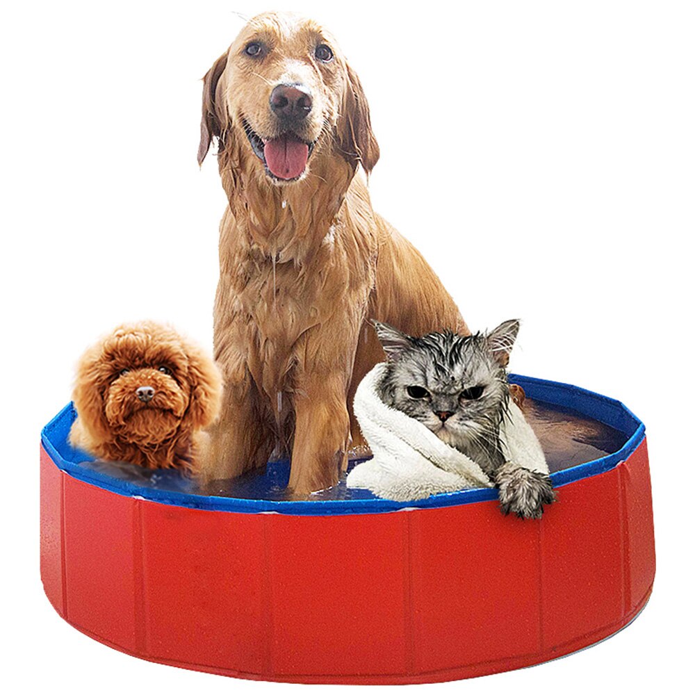 Hondenzwembad - Bad Voor Honden - 120 X 30 Cm - Blauw - Opvouwbaar