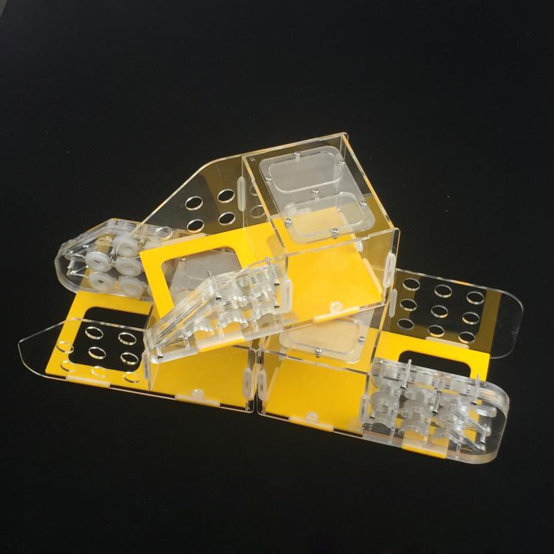 Ant Three-dimensional Test Tube Nest 5 Test Tube Ant Farm Yellow Acrylic Ant Large Workshop 15 Diameter Ant Villa: Type-1