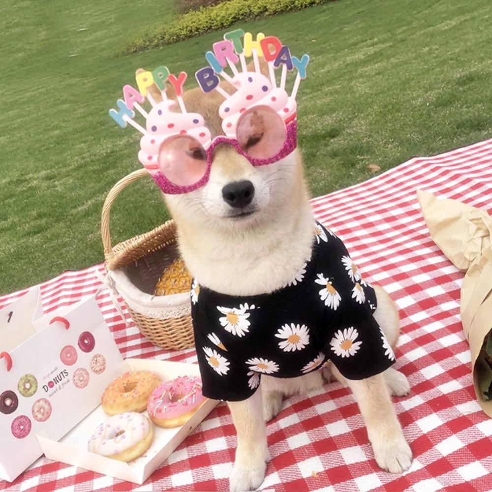 Pet Dog Clothes Dogs Daisy T-Shirt for Small Medium Dogs Puppy Coat Spring Summer Travelling Outfit Cloth Teddy Bichon Chihuahua