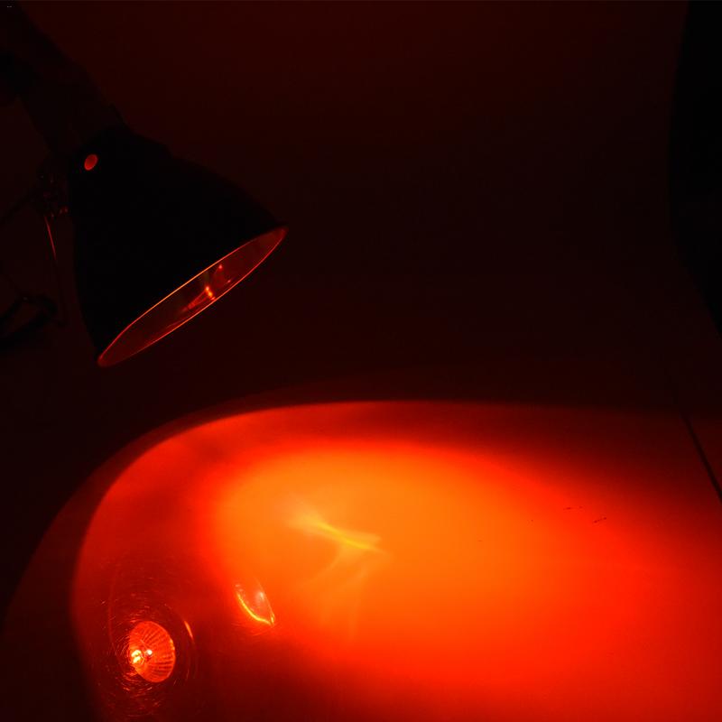 25w 50w 75w 100w Reptile tortue serpent spectre complet lampe chauffante UVA + UVB lumière solaire Reptile lampe chauffante isolation lumière rouge