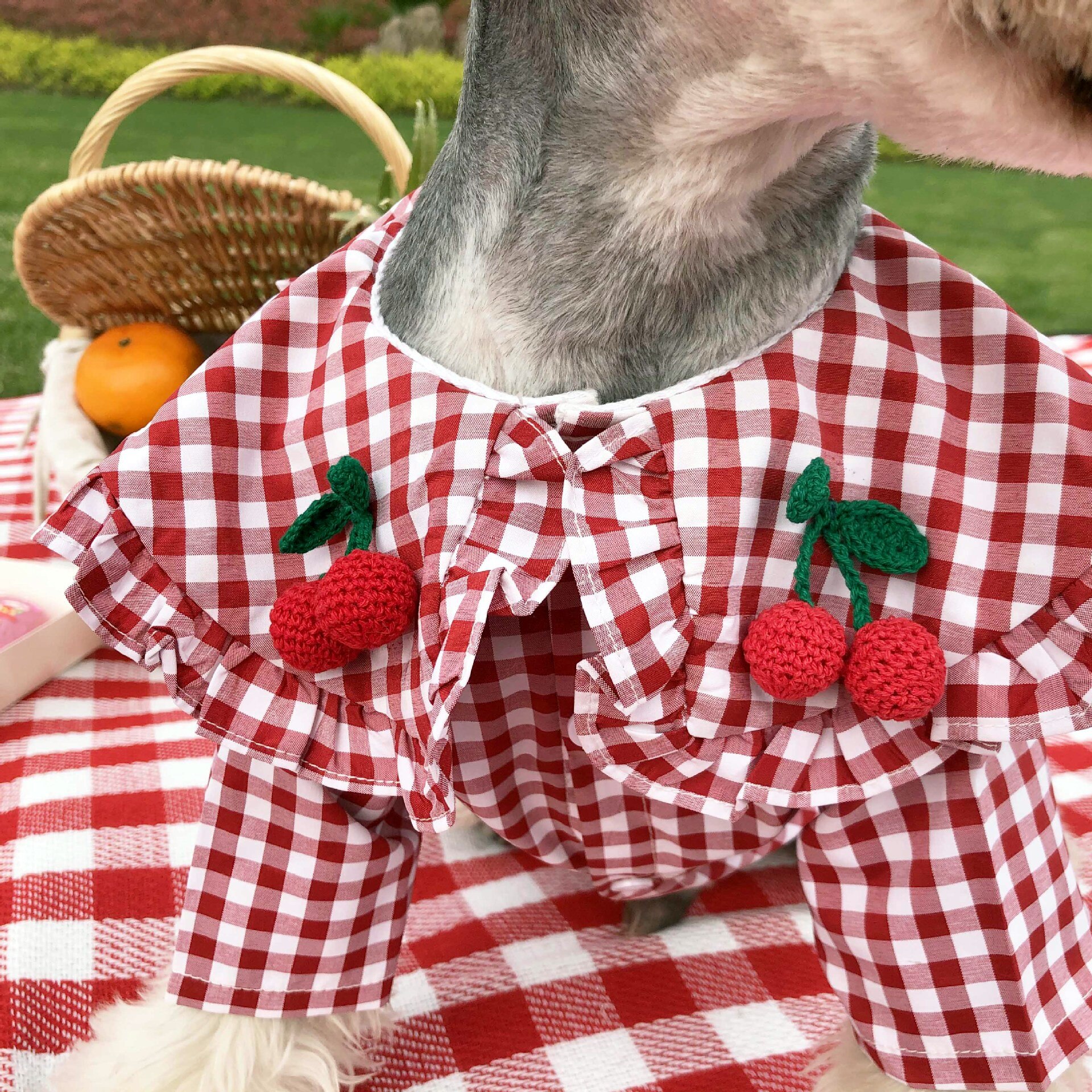 Camisa a cuadros para perros pequeños, abrigo de Chihuahua, Schauzer, Akita, ropa para cachorros, Gato, nueva