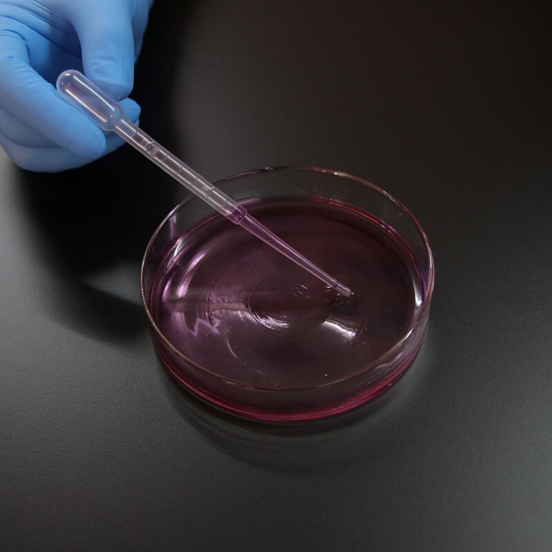 20 Pieces Laboratory Plastic sterile 15mm * 60mm Petri Dish