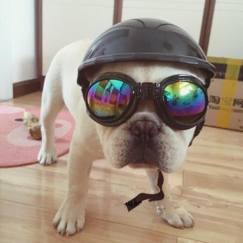 Huisdier Motorhelm Hoed Cap Hond Kat Kostuum Accessoire Dierbenodigdheden motorfiets ABS Plastic speelgoed hond Helm cap met zonnebril