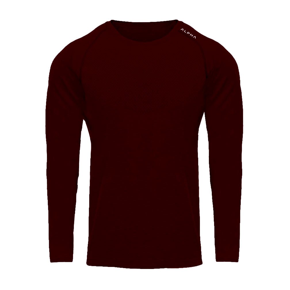 Efterår herre fitness sport langærmet t-shirt herre sports løb træning t-shirt fitness tøj herre t shirts: C3 / Xl