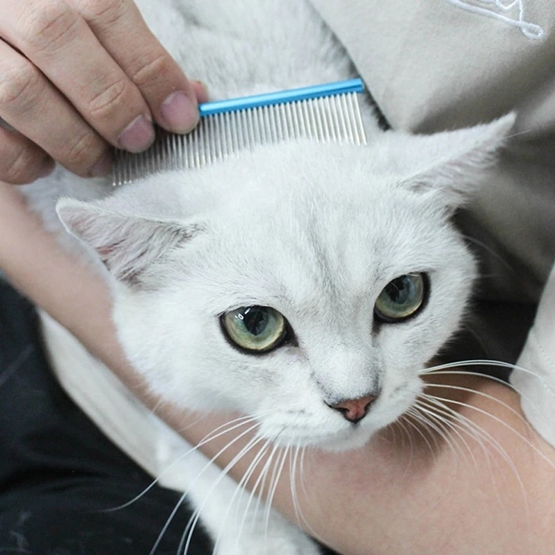 Kat Rechte Rij Kam Huisdier Dematting Kam Rvs Pet Grooming Kam Voor Katten Hond Open Knoop Hond Kam Haar kam Alle Voor Kat