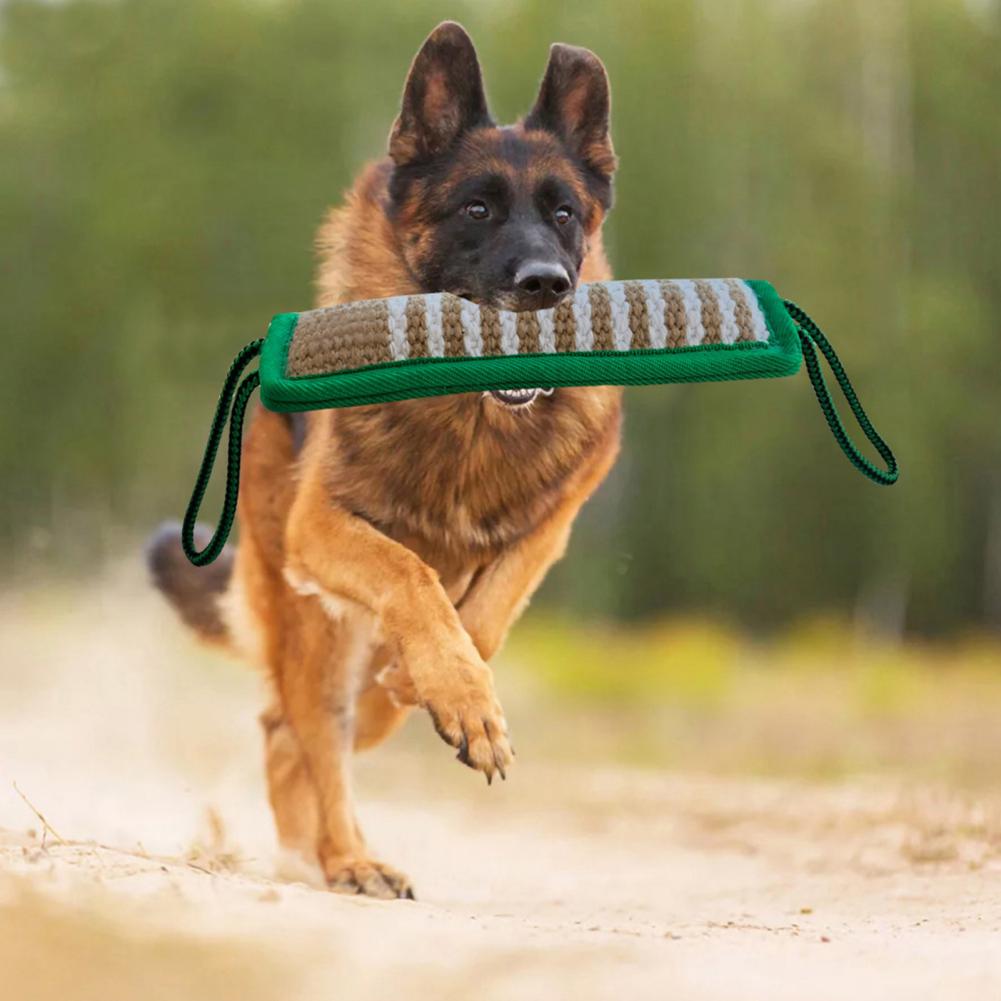 Jouet mordant pour chien, bâton robuste, motif rayé, soins dentaires, entraînement, oreiller