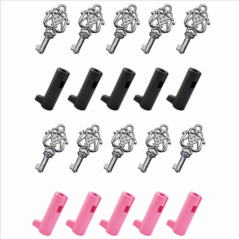 Kuisheidskooi-slotcilinder kan de beveiliging doorstaan ​​Niet-wegwerpslot Elke set bevat 5 sleutels en 5 slotcilinders SexToy 18+