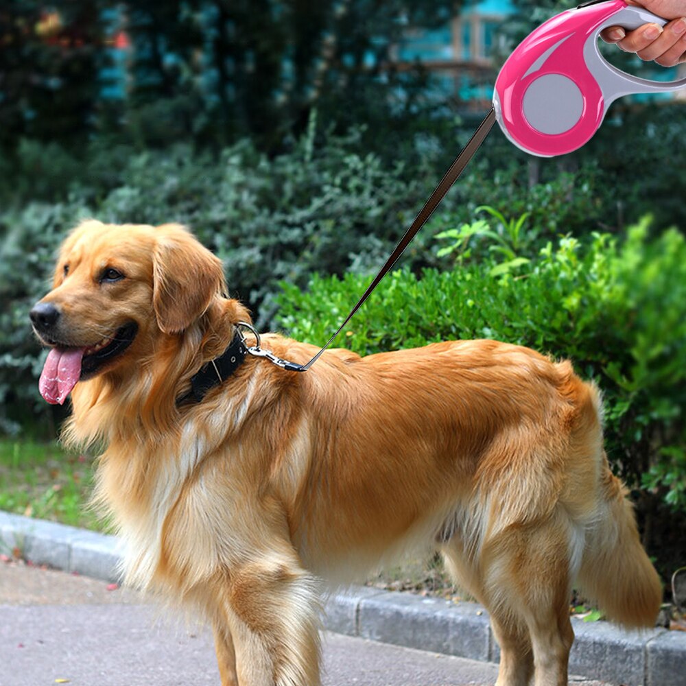 3/5M Retractable Dog Leash Automatic Flexible Durable Dog Leash Pet Dogs Cat Traction Rope Leashes Tool For Small Medium Dog