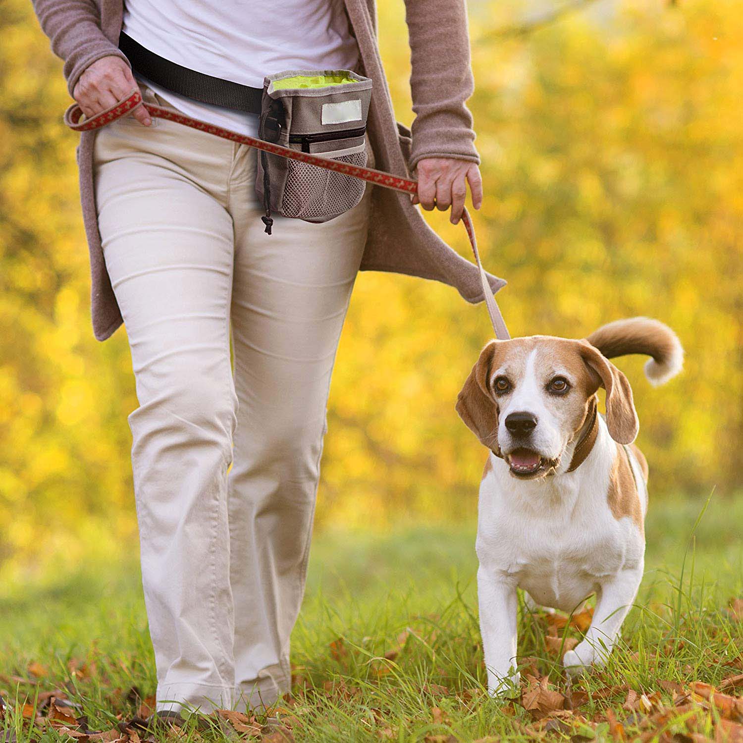 Kordelzug Tasche Hund Beutel gehen Lebensmittel Behandeln Snack Tasche Anti-Köder Taschen Taille Lagerung Halten Hund Ausbildung Werkzeug PWB004
