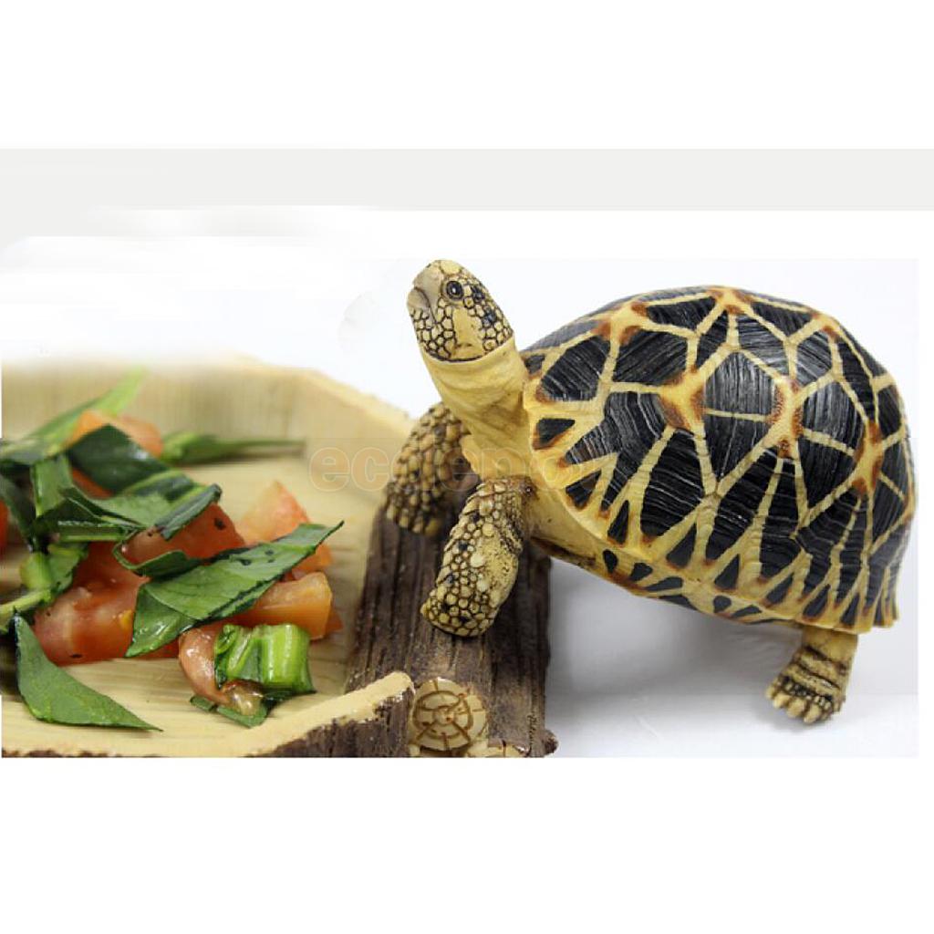 Plato de agua y comida, cuenco, bandeja, terrario, decoración para reptiles, tortugas, serpientes, 16x15x2,5 cm