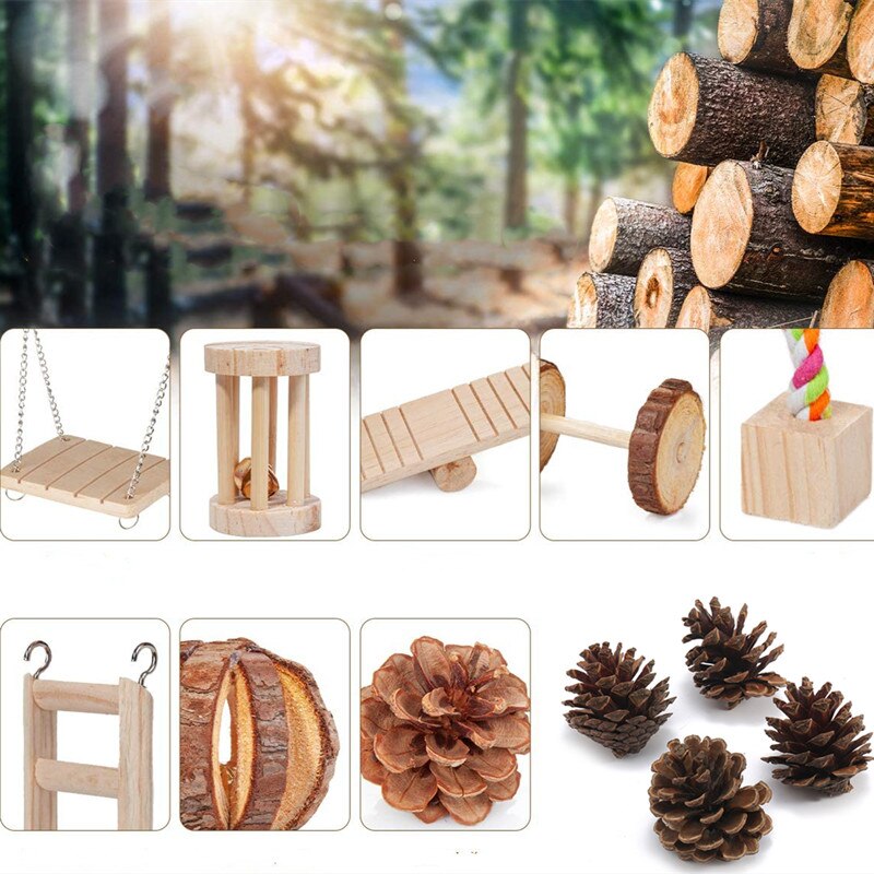 10PCS Hamster Chew Toy Set,Rat Toys Natural Pine Wood,Gerbil,Hamster,Chinchilla&#39;s Favorite Chewing Toy,Toys Accessories