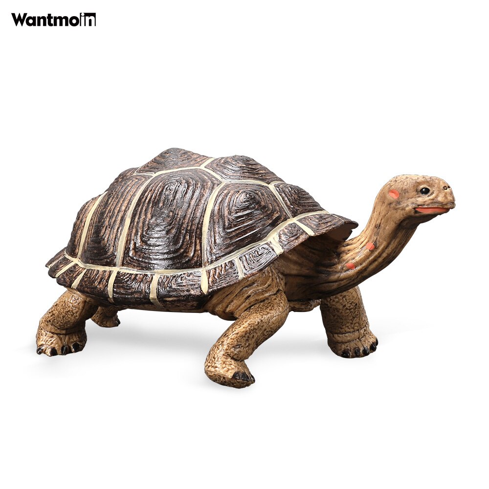 Wantmoin Tortoise animal model Galapagos tortoise tortoise model figure animal toy educational collection children