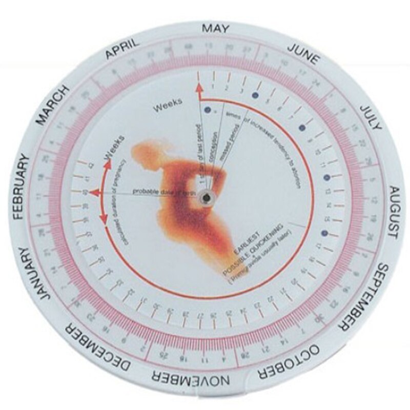 Drægtighed lommeregner hjul graviditet goniometer forventet fødselsdato lineal 10 stk / parti!
