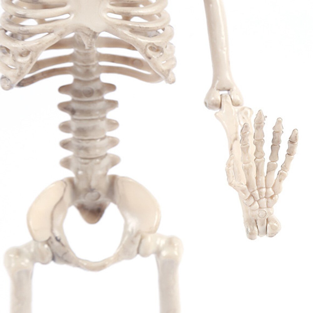 Sjovt skelet legetøjsdekoration simulation menneskelegeme plast skelet legetøj jul halloween dekoration værelse hjemsøgte rekvisitter